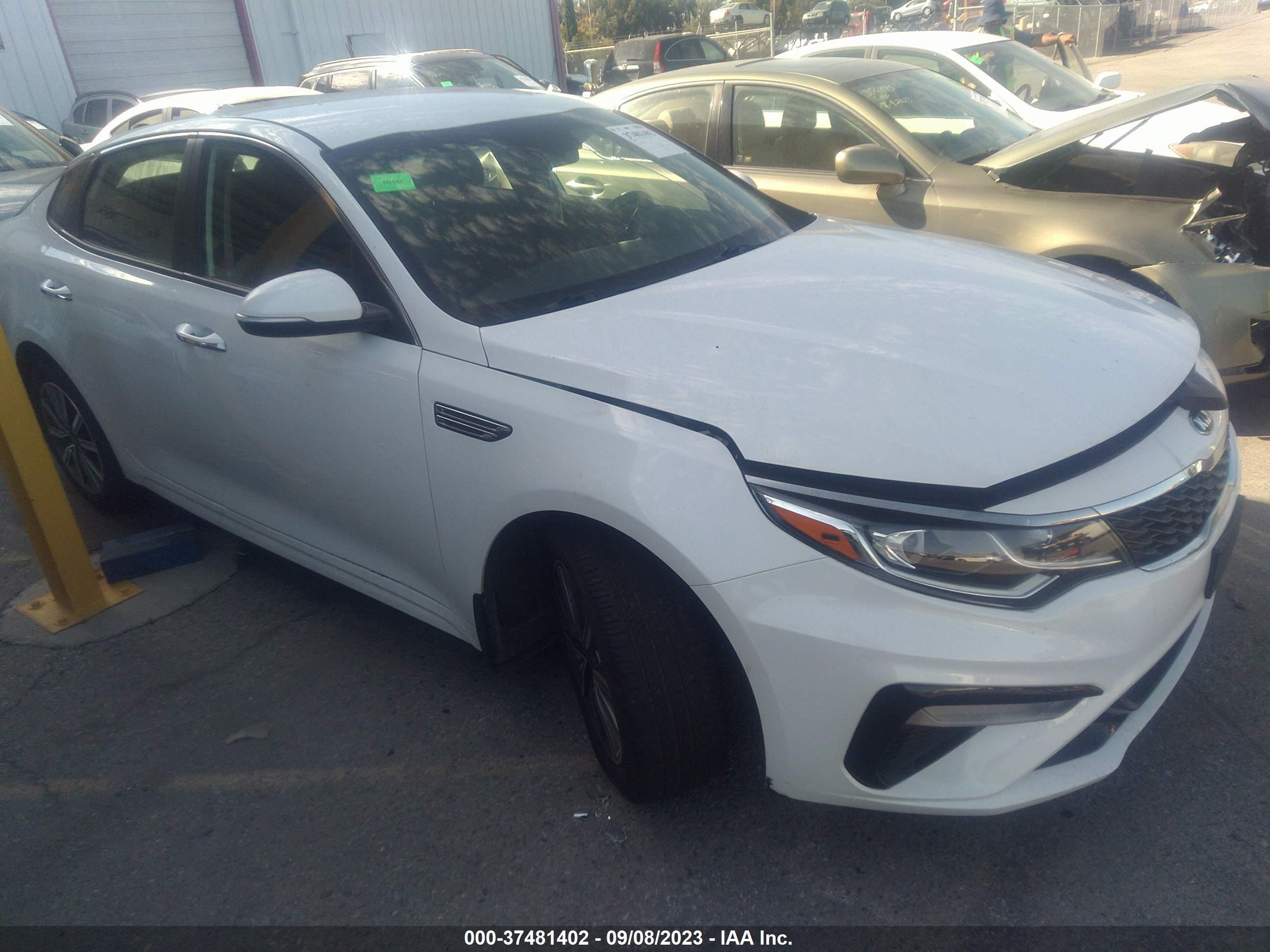 KIA OPTIMA 2019 5xxgt4l36kg354349