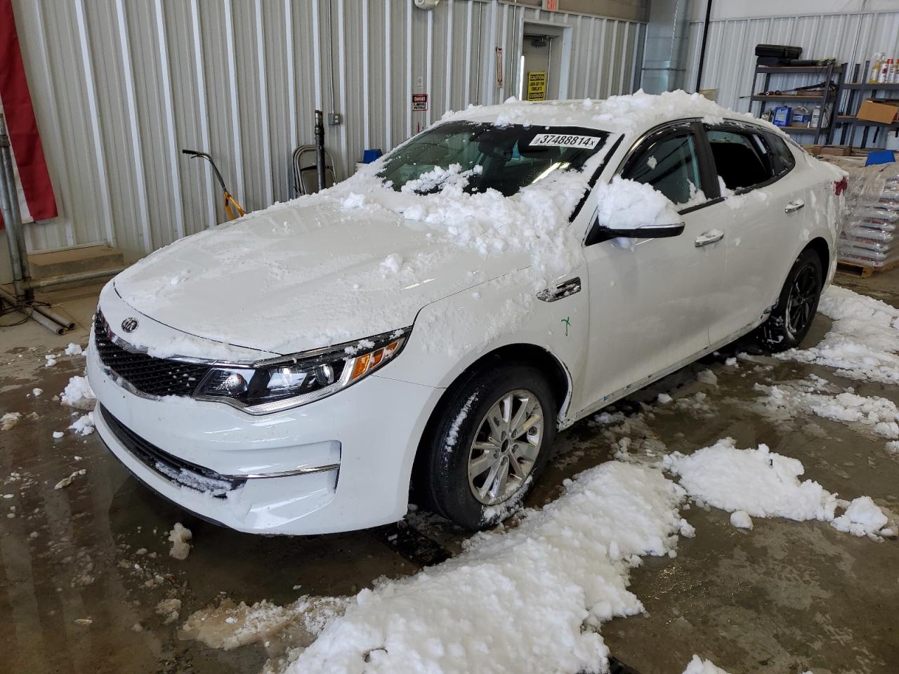 KIA OPTIMA 2018 5xxgt4l37jg185229