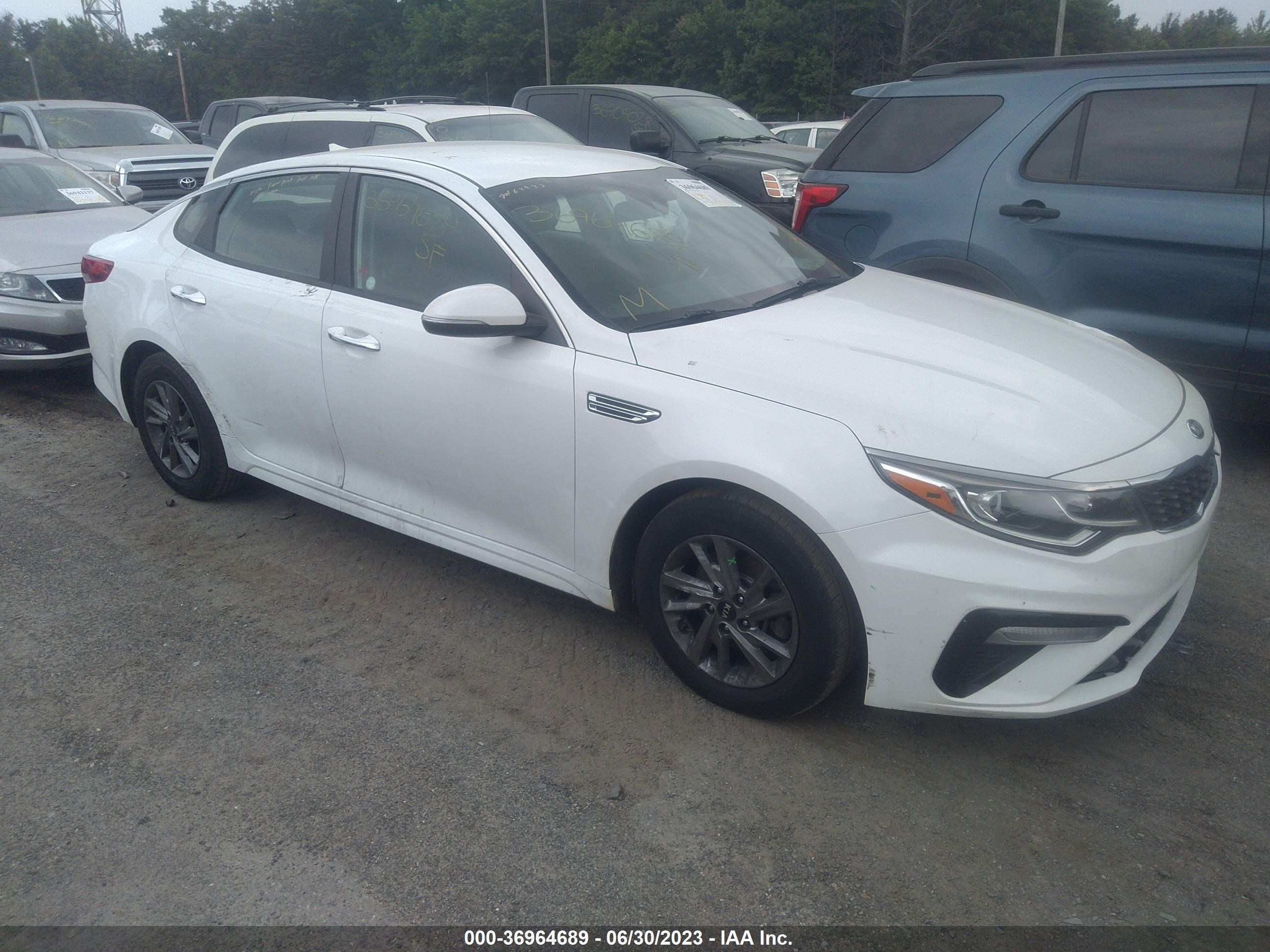 KIA OPTIMA 2019 5xxgt4l37kg312417