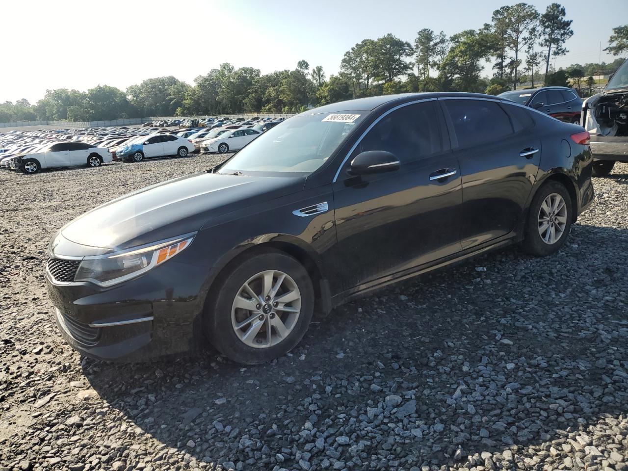 KIA OPTIMA 2016 5xxgt4l38gg100083