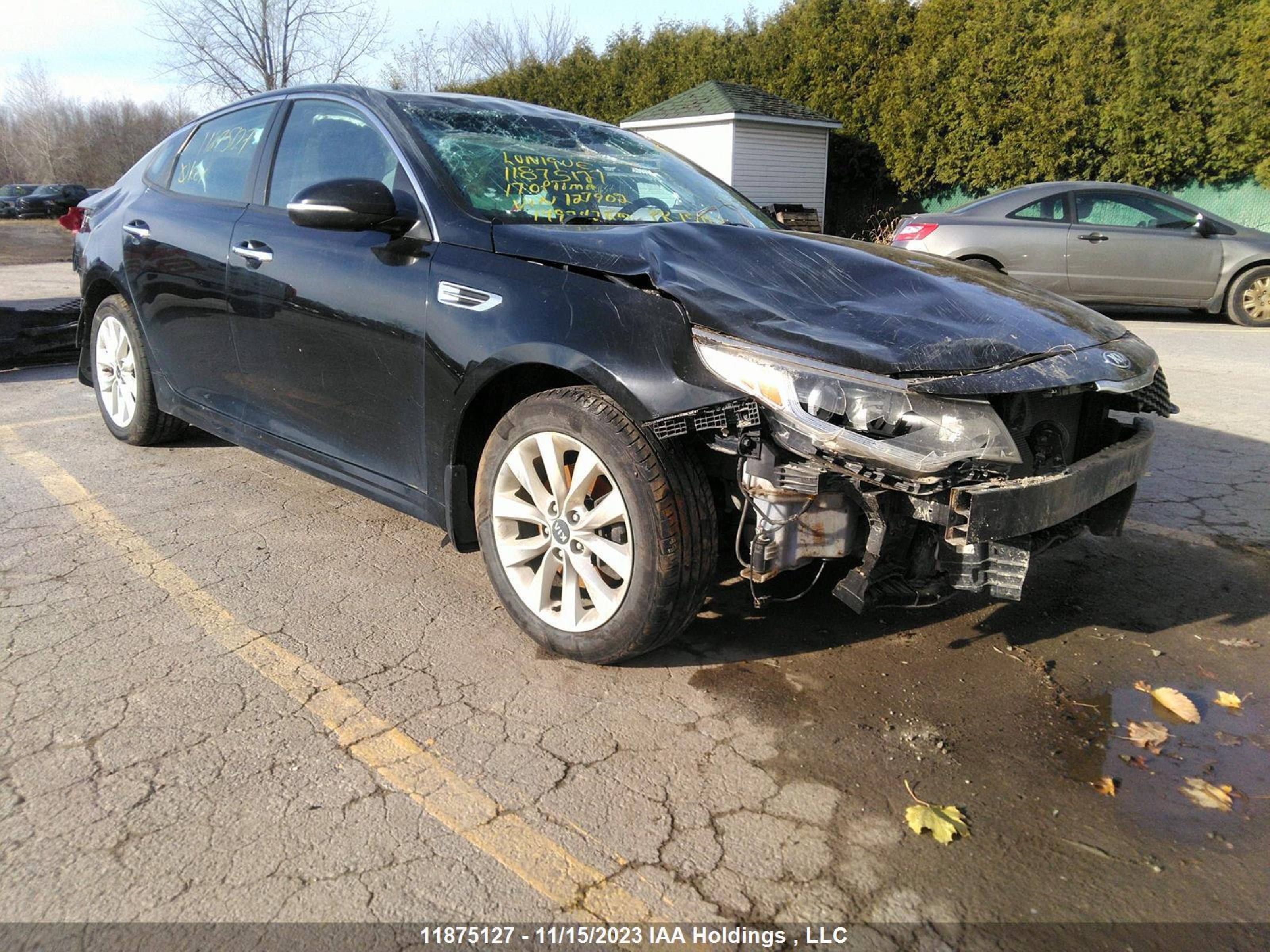 KIA OPTIMA 2017 5xxgt4l38hg127902