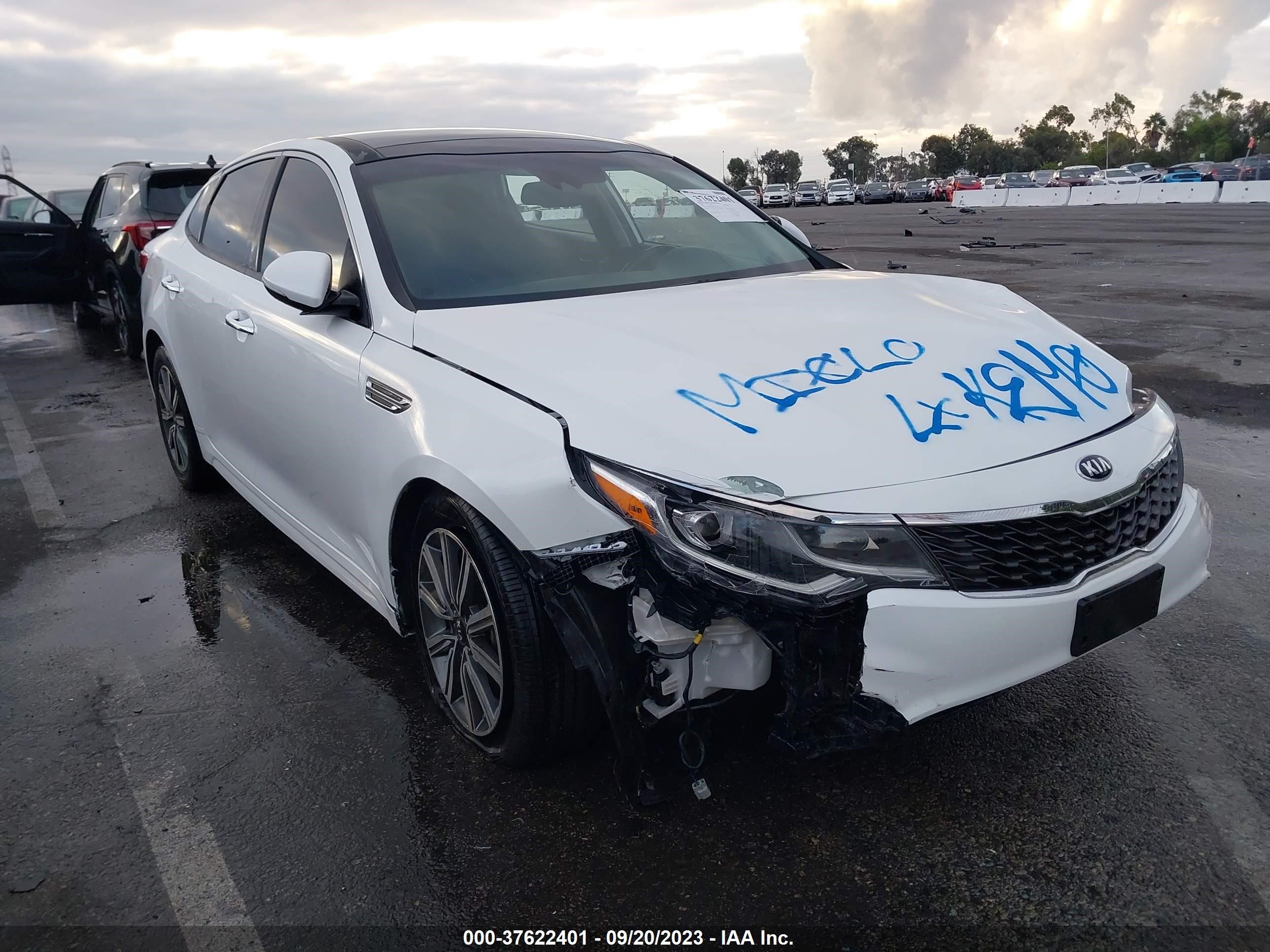 KIA OPTIMA 2019 5xxgt4l38kg335334