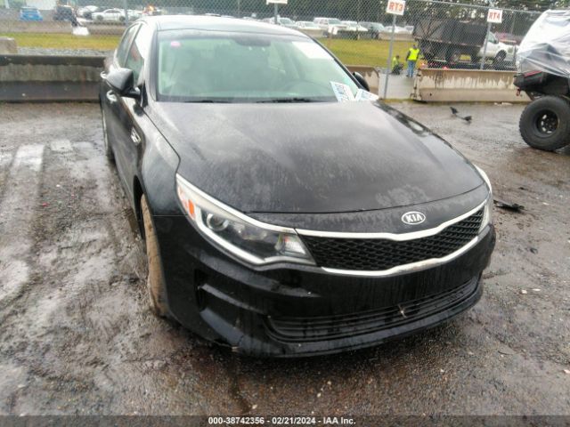 KIA OPTIMA 2016 5xxgt4l39gg003281