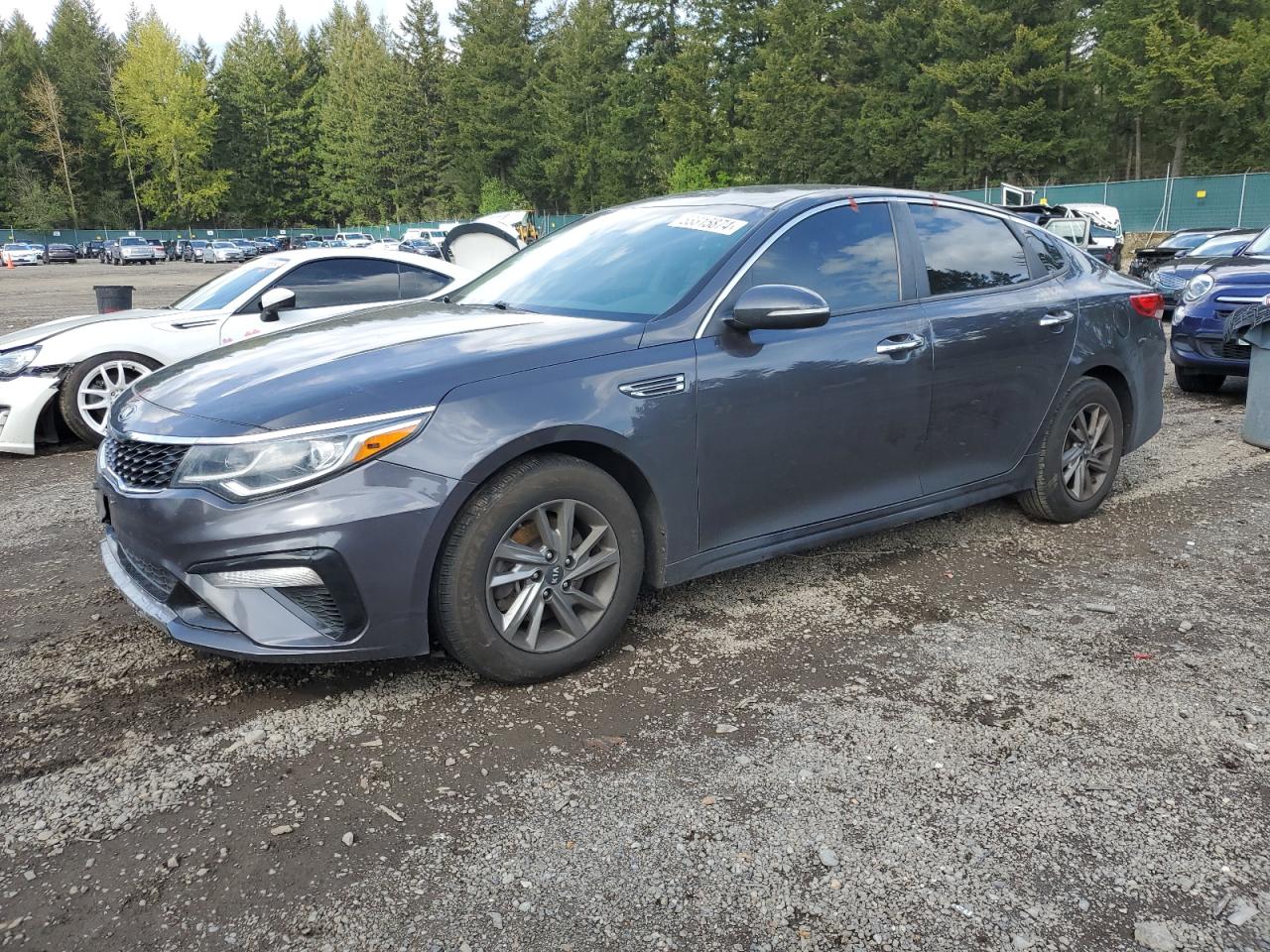 KIA OPTIMA 2019 5xxgt4l39kg288198