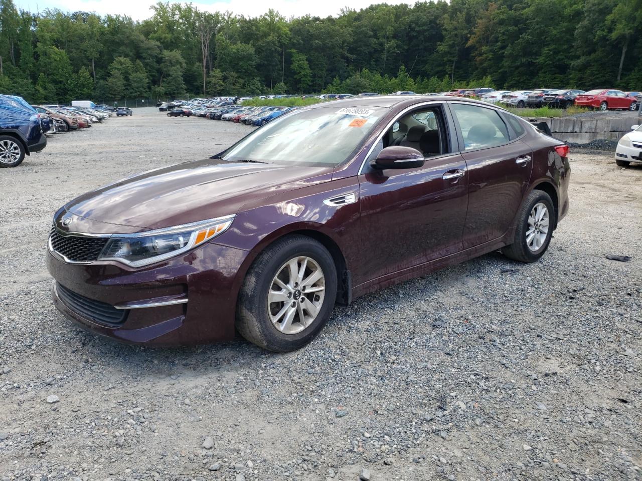 KIA OPTIMA 2016 5xxgt4l3xgg039593