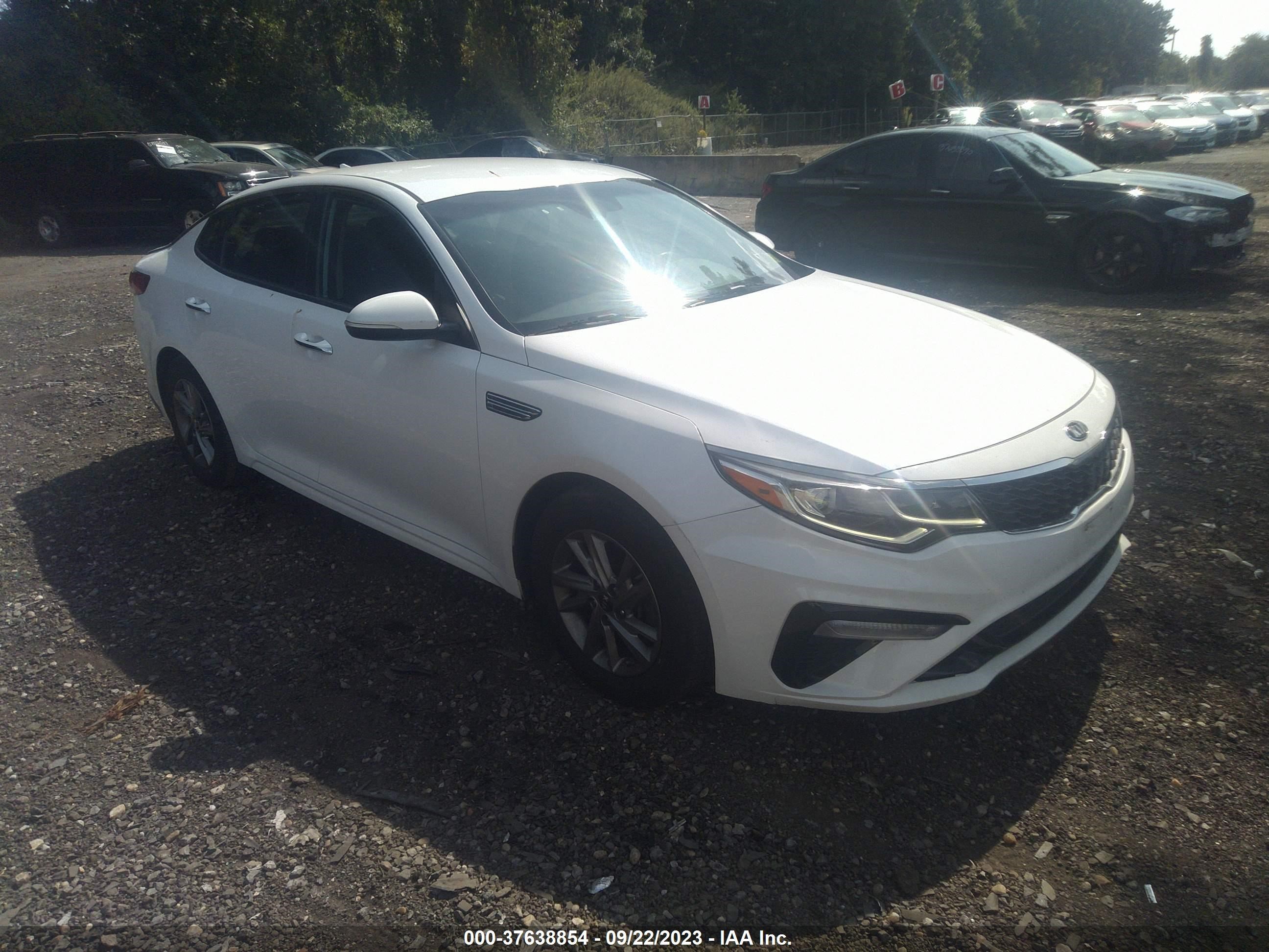 KIA OPTIMA 2019 5xxgt4l3xkg317661