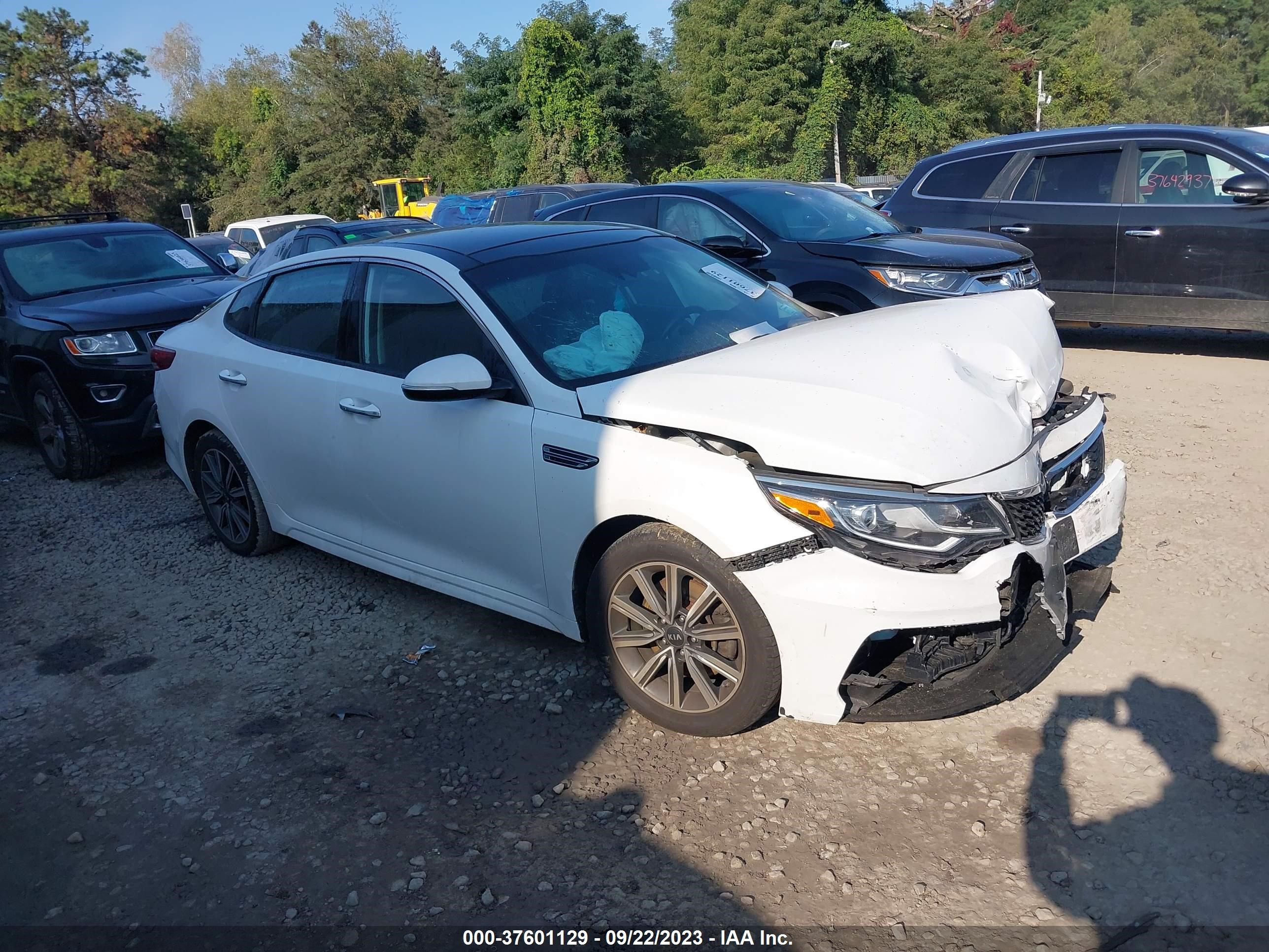 KIA OPTIMA 2019 5xxgu4l13kg339190