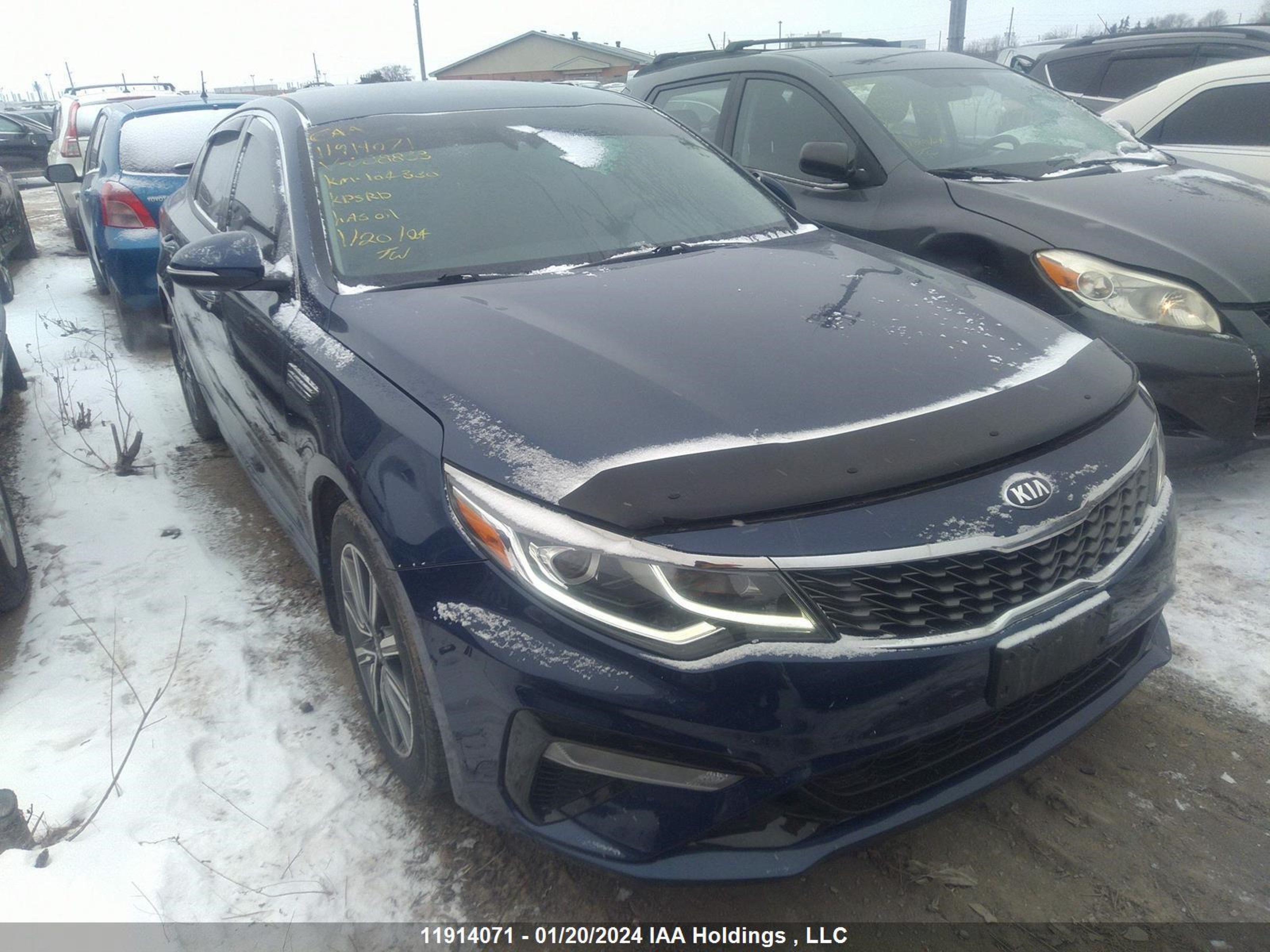 KIA OPTIMA 2019 5xxgu4l32kg288833