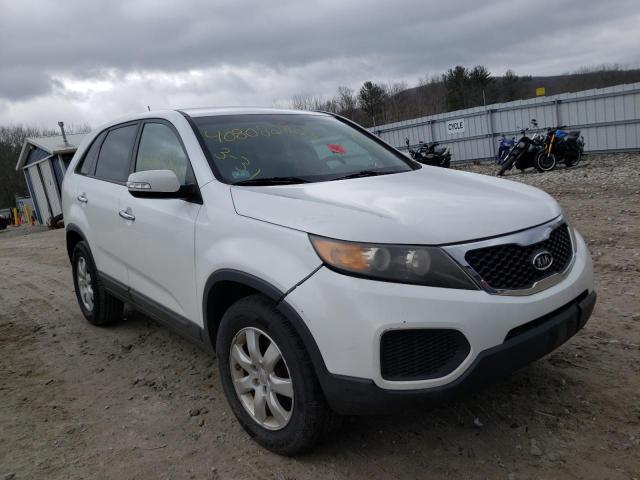 KIA SORENTO 2011 5xykt3a10bg009903