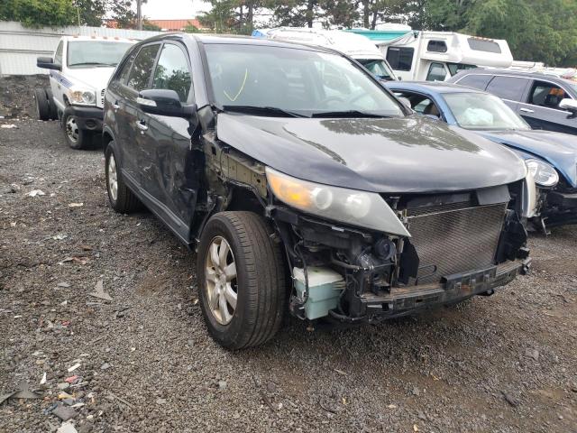 KIA SORENTO BA 2011 5xykt3a10bg095939