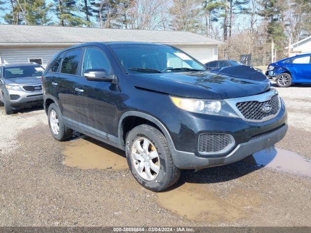 KIA SORENTO 2012 5xykt3a10cg262284