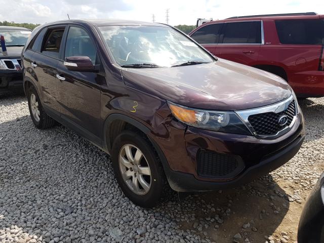 KIA NULL 2012 5xykt3a11cg307877