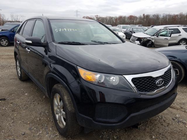 KIA NULL 2013 5xykt3a11dg371550