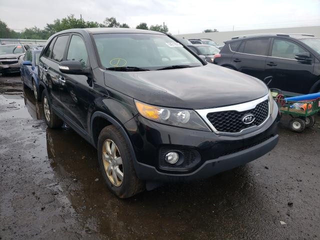 KIA NULL 2013 5xykt3a12dg416477