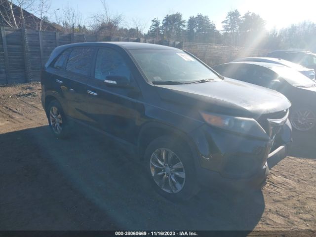 KIA SORENTO 2011 5xykt3a13bg126388