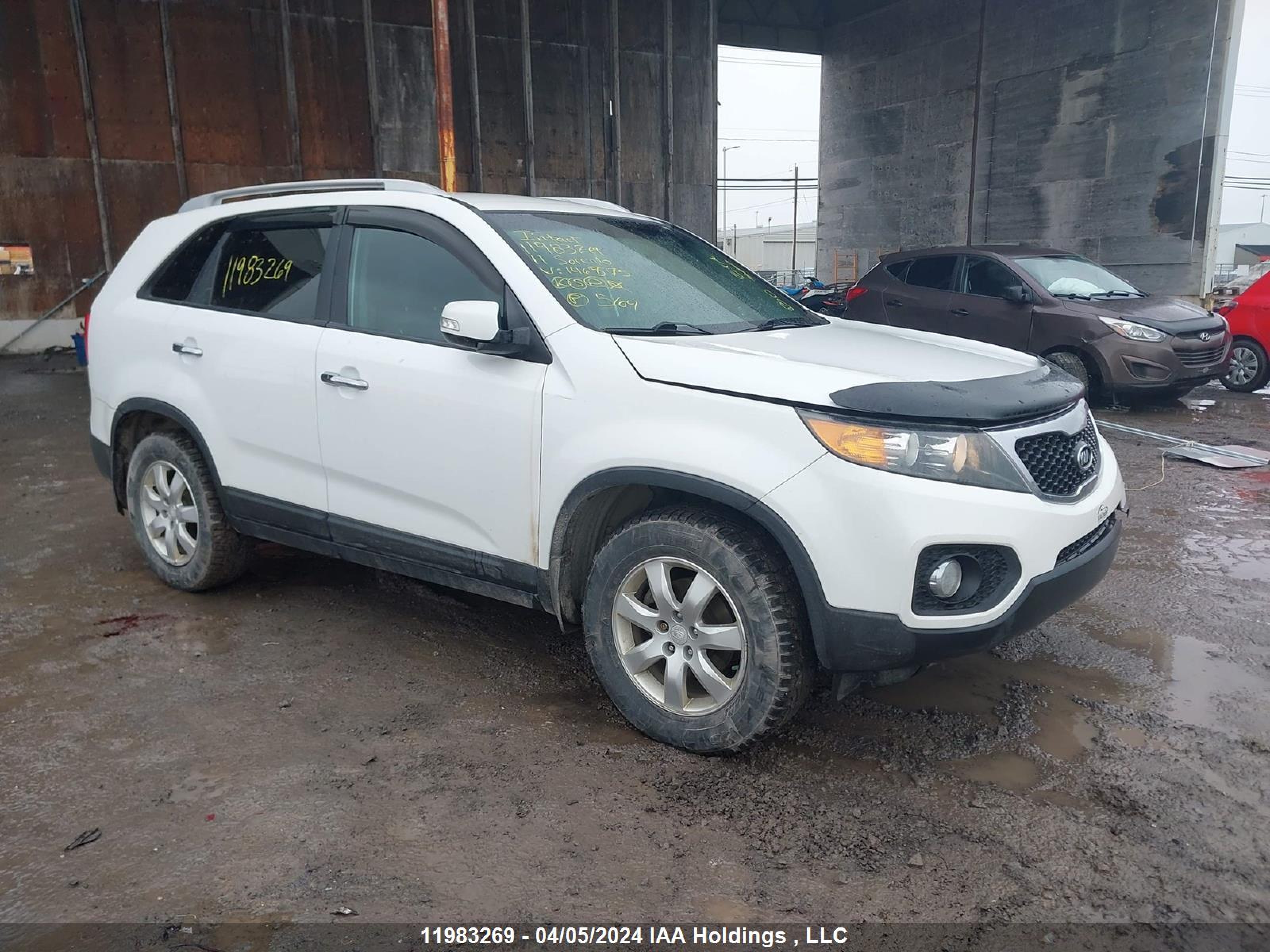 KIA SORENTO 2011 5xykt3a13bg146575