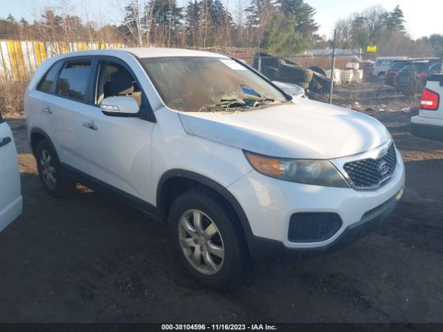 KIA SORENTO 2011 5xykt3a14bg171758