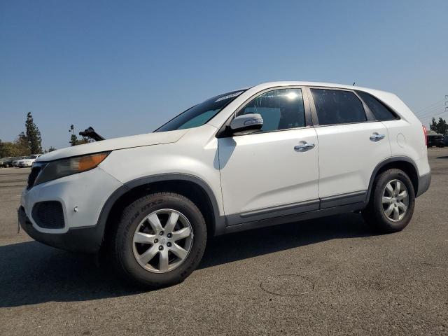 KIA SORENTO 2011 5xykt3a1xbg005759