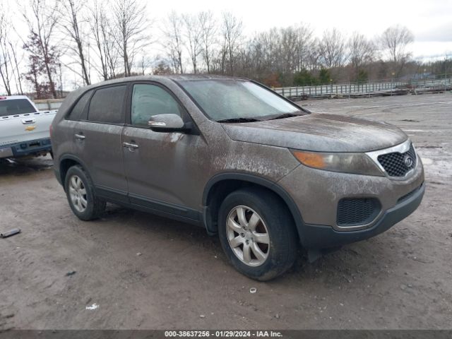 KIA SORENTO 2011 5xykt3a1xbg076895