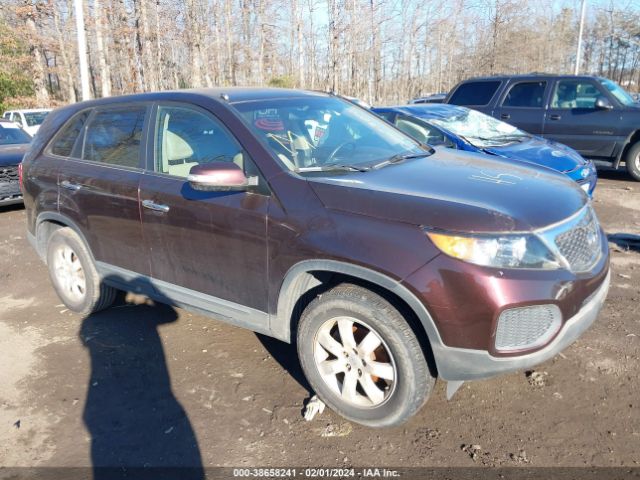 KIA SORENTO 2011 5xykt3a1xbg137565