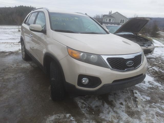 KIA SORENTO BA 2011 5xykt4a12bg082549