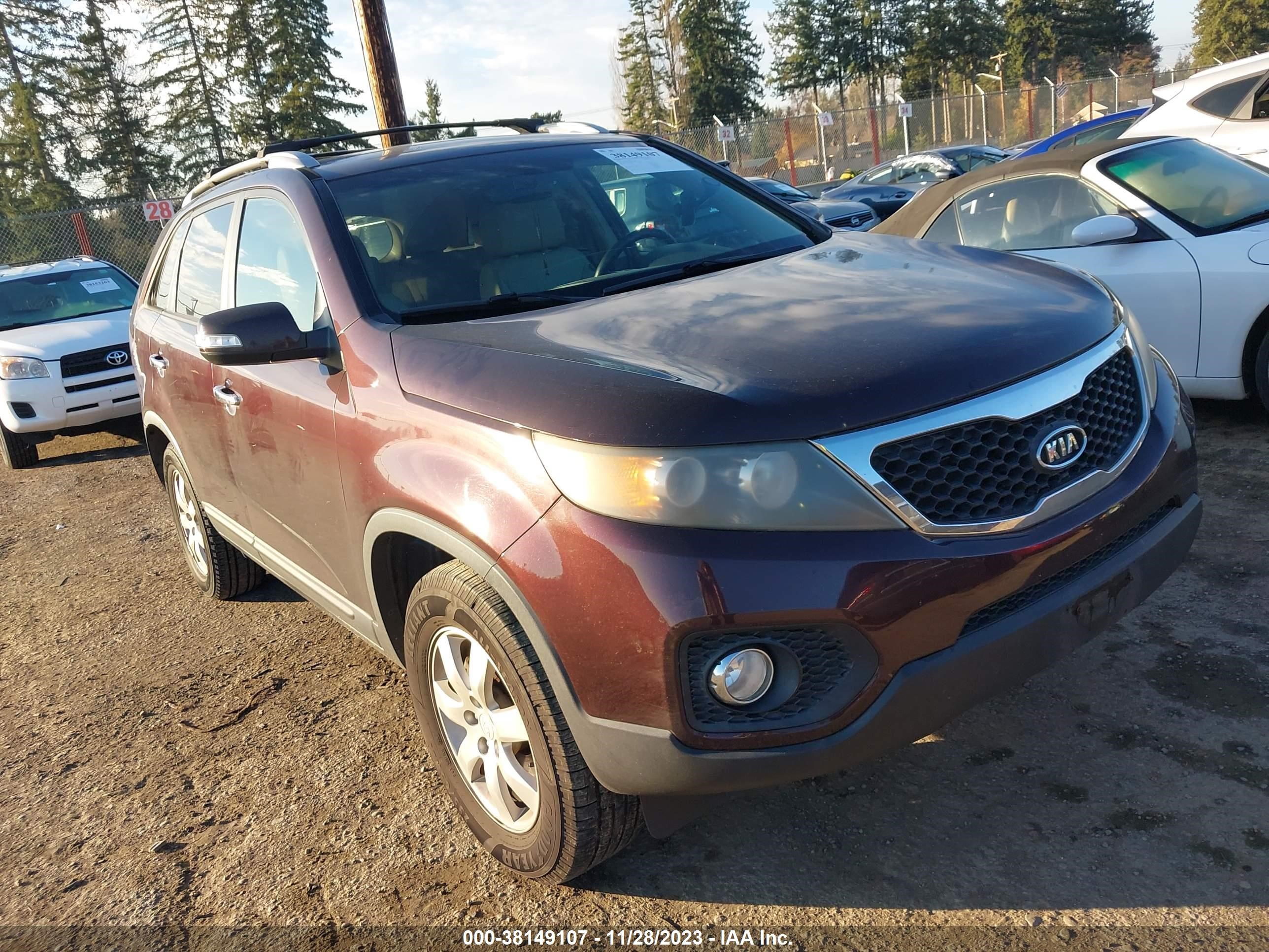 KIA SORENTO 2011 5xykt4a13bg170168