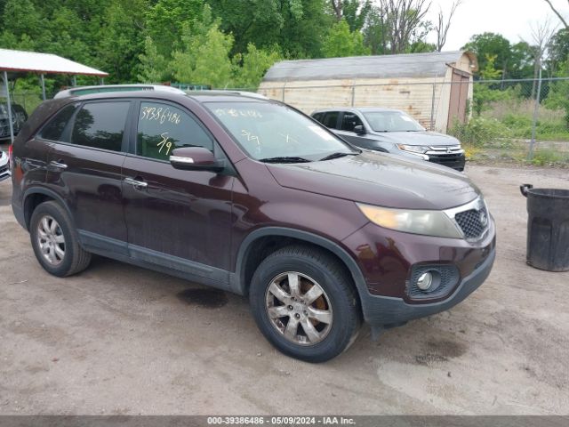 KIA SORENTO 2011 5xykt4a14bg126115