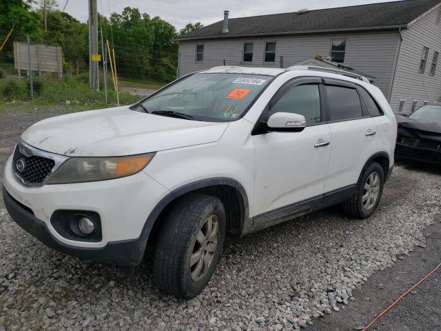 KIA SORENTO 2011 5xykt4a17bg143619