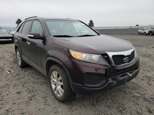 KIA SORENTO BA 2011 5xykt4a22bg082981