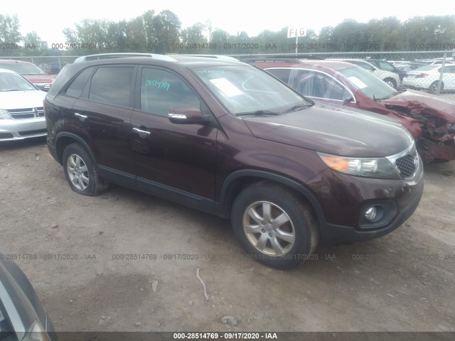 KIA SORENTO 2012 5xykt4a23cg265226