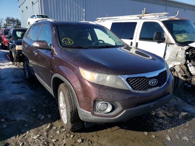 KIA SORENTO 2011 5xykt4a2xbg155370