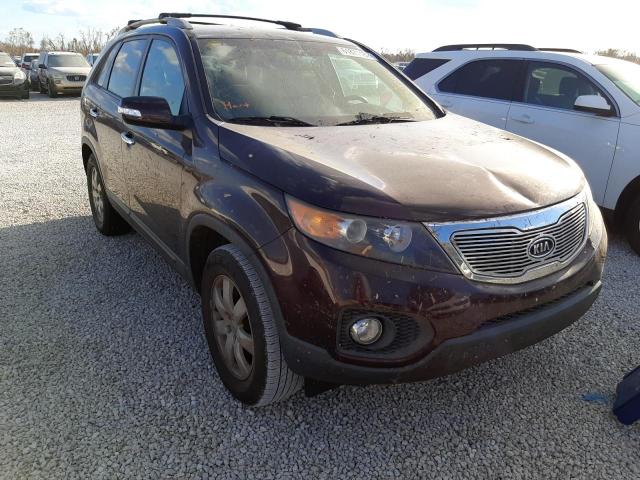 KIA SORENTO LX 2013 5xykt4a61dg351638