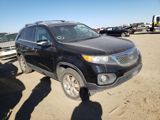 KIA SORENTO LX 2013 5xykt4a66dg331756