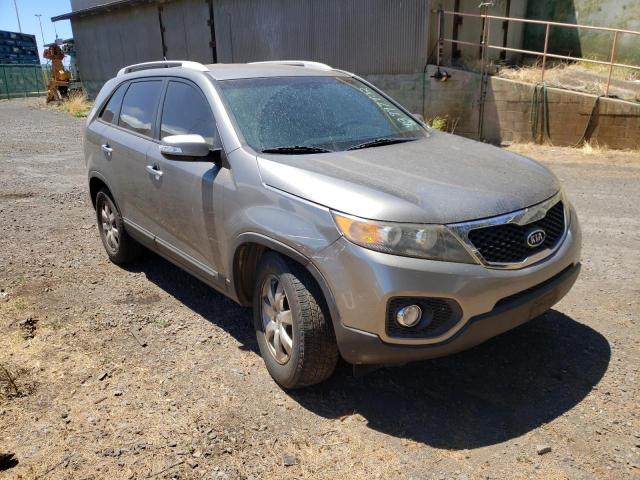 KIA SORENTO LX 2013 5xykt4a66dg334818