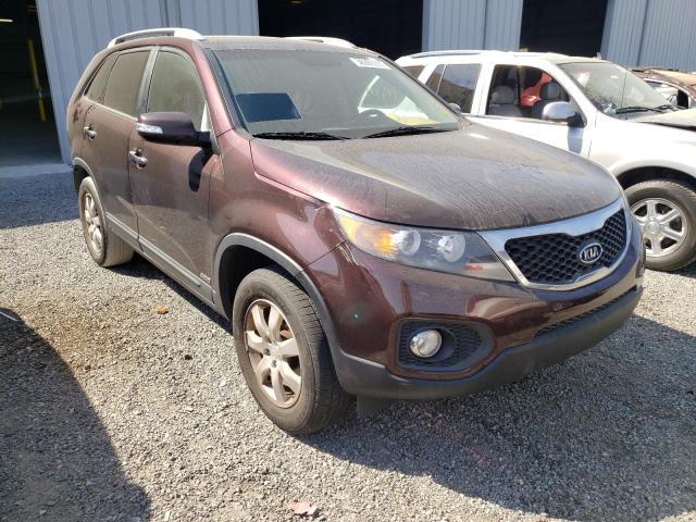 KIA NULL 2011 5xyktca10bg105000