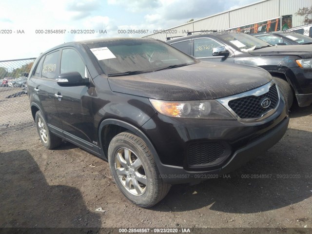 KIA SORENTO 2011 5xyktca15bg031895