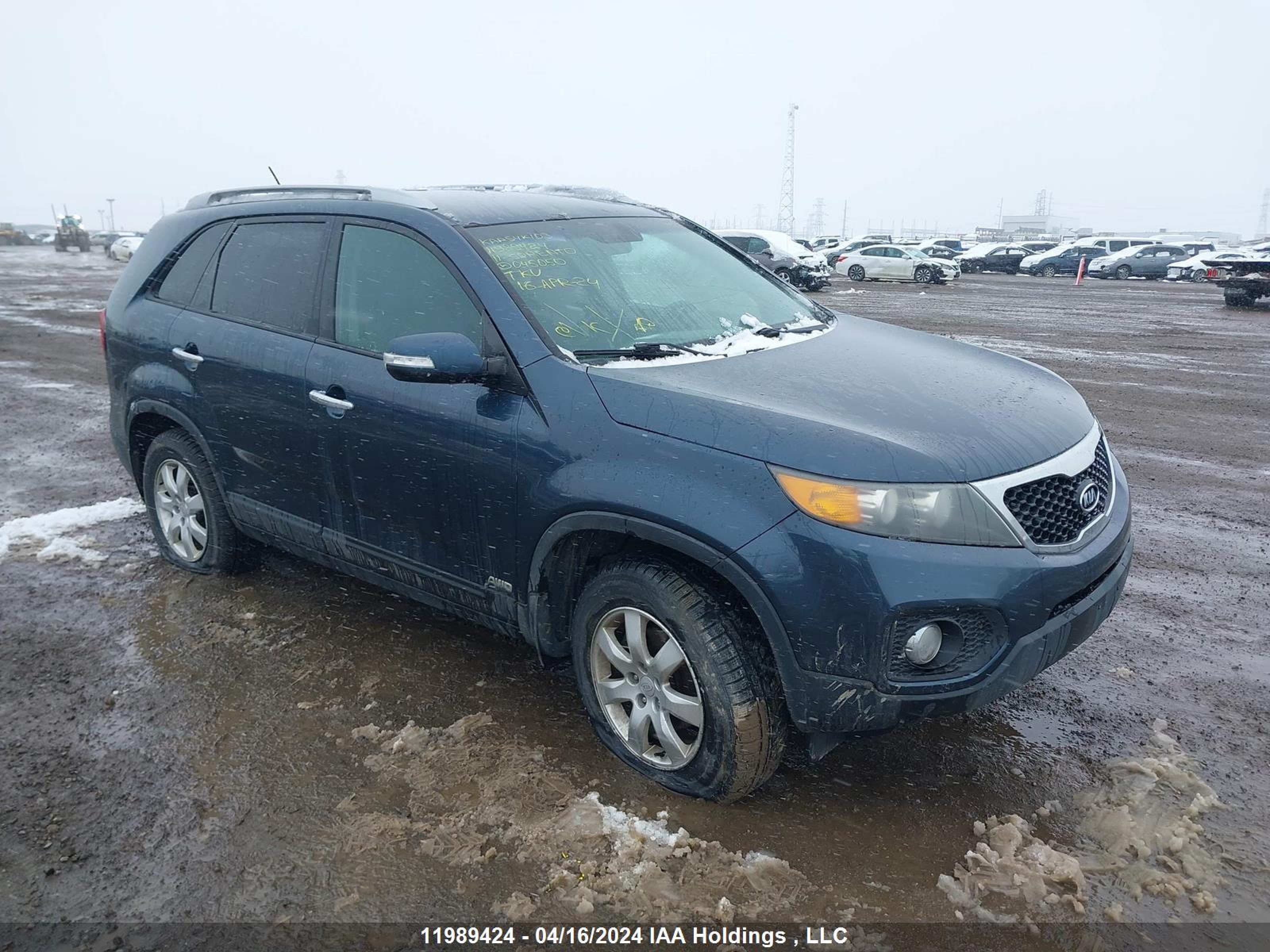 KIA SORENTO 2011 5xyktca1xbg045050