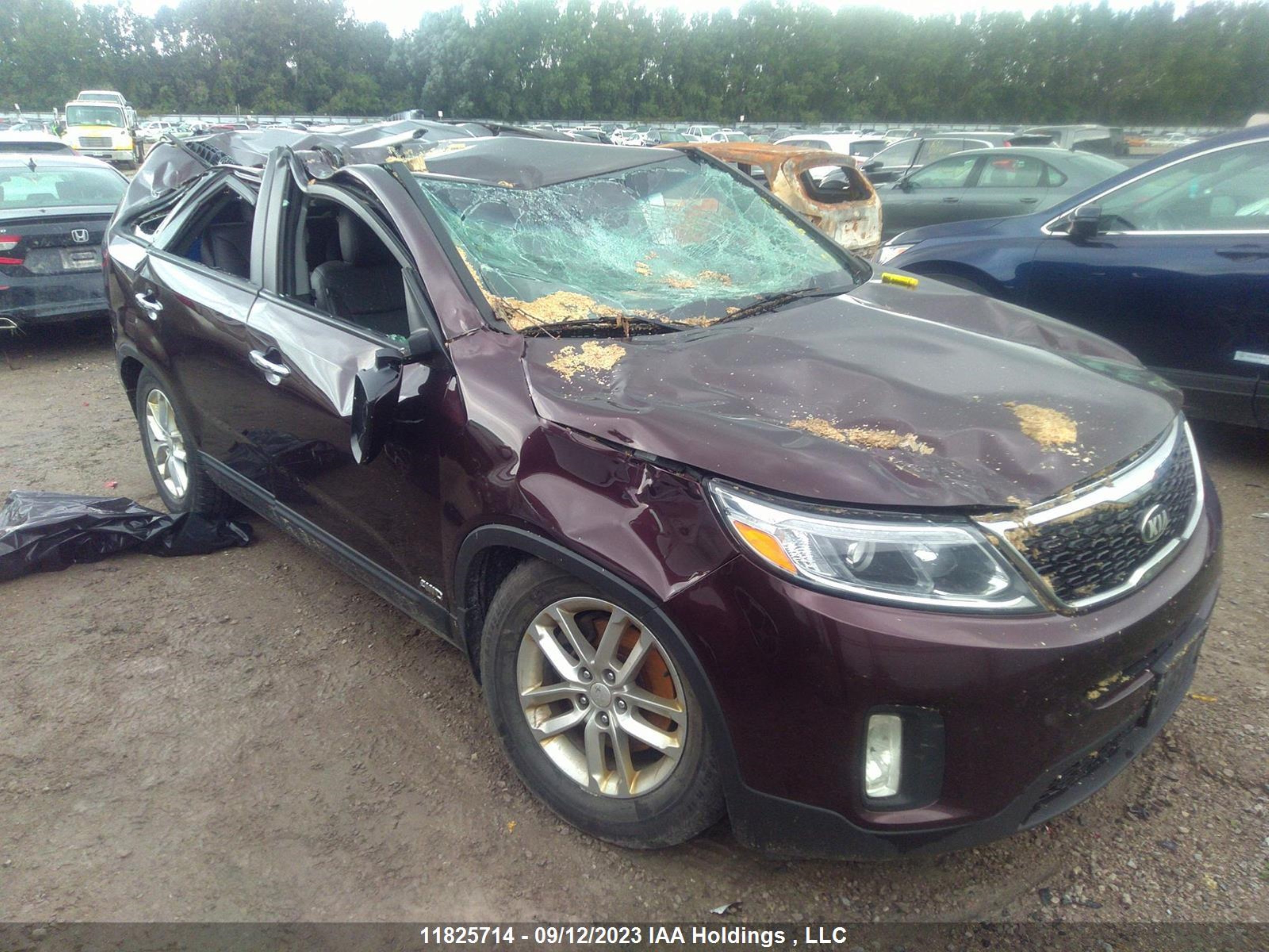 KIA SORENTO 2014 5xyktca68eg485865