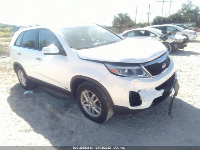 KIA SORENTO 2014 5xyktca6xeg505663