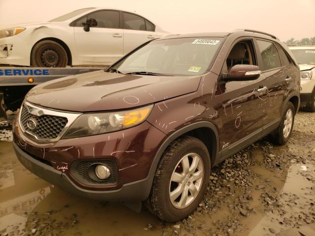 KIA SORENTO BA 2011 5xyktda14bg101229