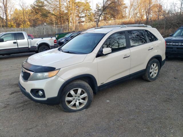 KIA SORENTO 2011 5xyktda21bg043606