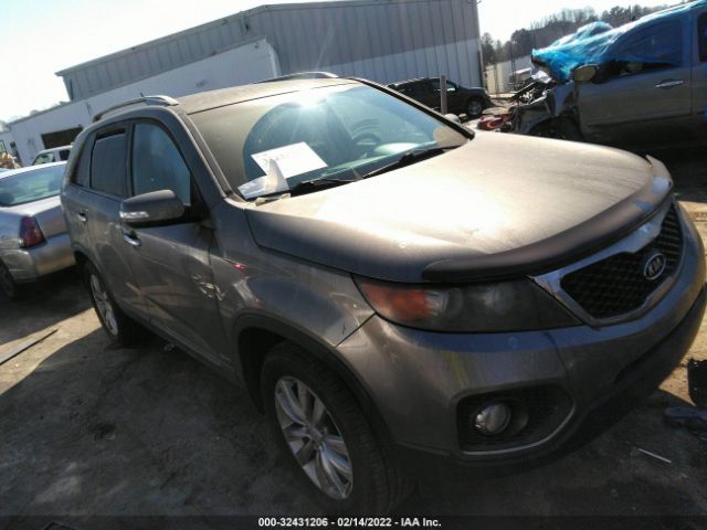 KIA SORENTO 2011 5xyktda21bg159758