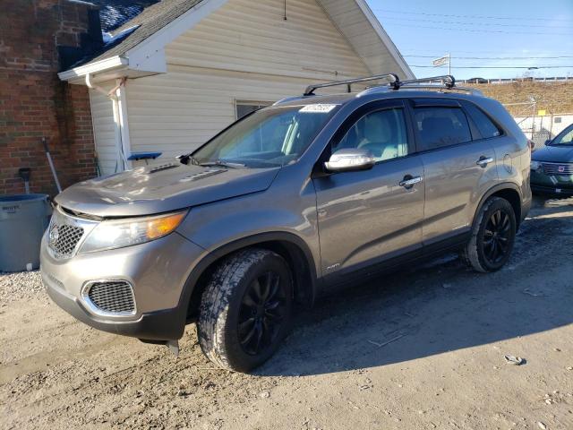 KIA SORENTO 2011 5xyktda23bg046118