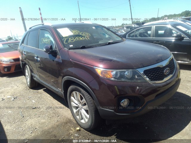 KIA SORENTO 2011 5xyktda23bg132593