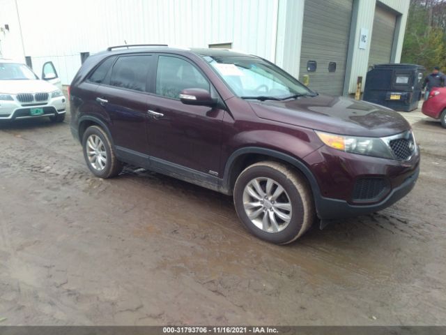 KIA SORENTO 2011 5xyktda24bg045883