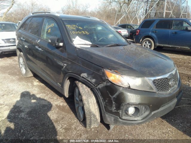 KIA SORENTO 2011 5xyktda26bg106683