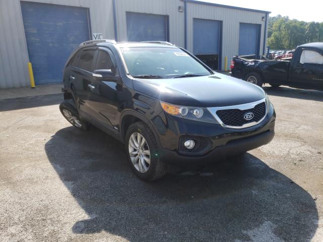 KIA SORENTO BA 2011 5xyktda29bg156915