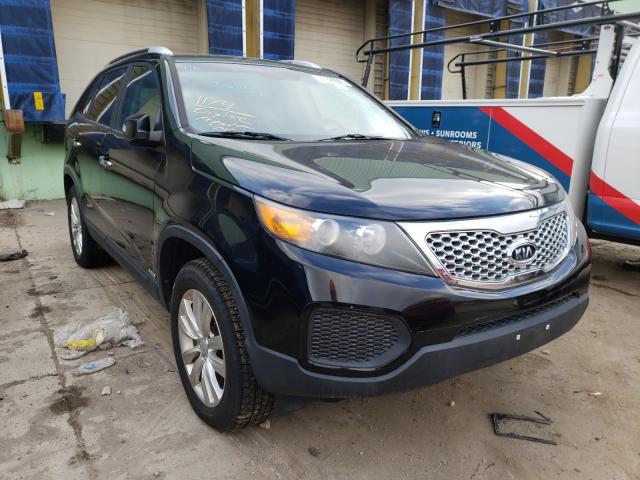 KIA SORENTO BA 2011 5xyktda29bg176260