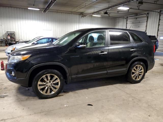 KIA SORENTO 2011 5xyku3a10bg014466