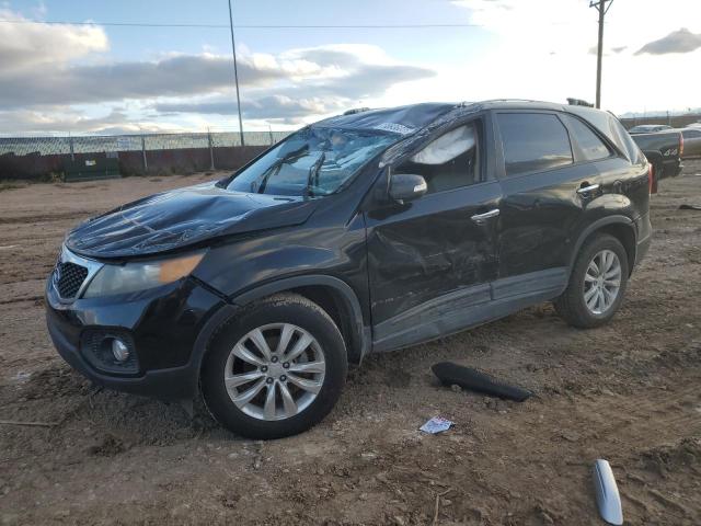 KIA SORENTO 2011 5xyku3a10bg035379